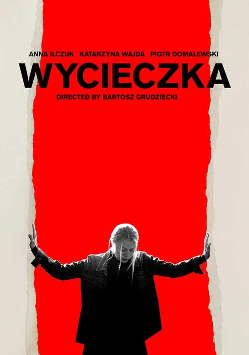 Der Ausflug Poster